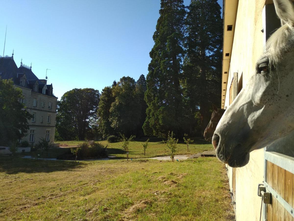 Chateau De St Alyre Hotel Sanssat Luaran gambar